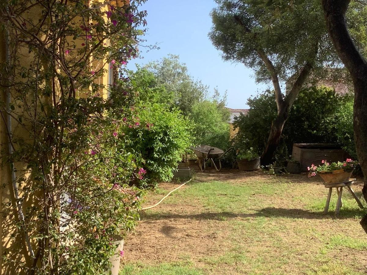 Chambres De La Terre Blanche Sanary-sur-Mer Exterior foto